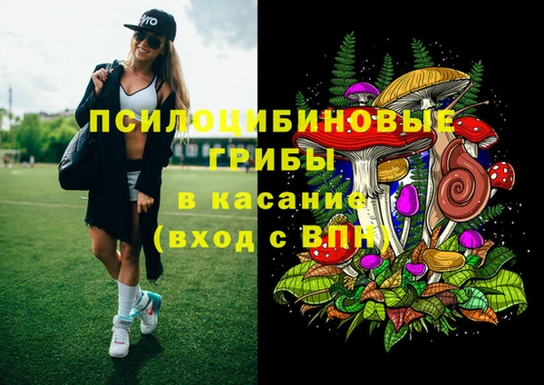 ПСИЛОЦИБИНОВЫЕ ГРИБЫ Богородицк
