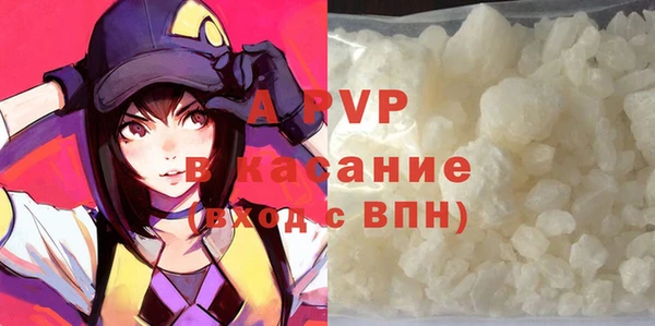 ПСИЛОЦИБИНОВЫЕ ГРИБЫ Богородицк